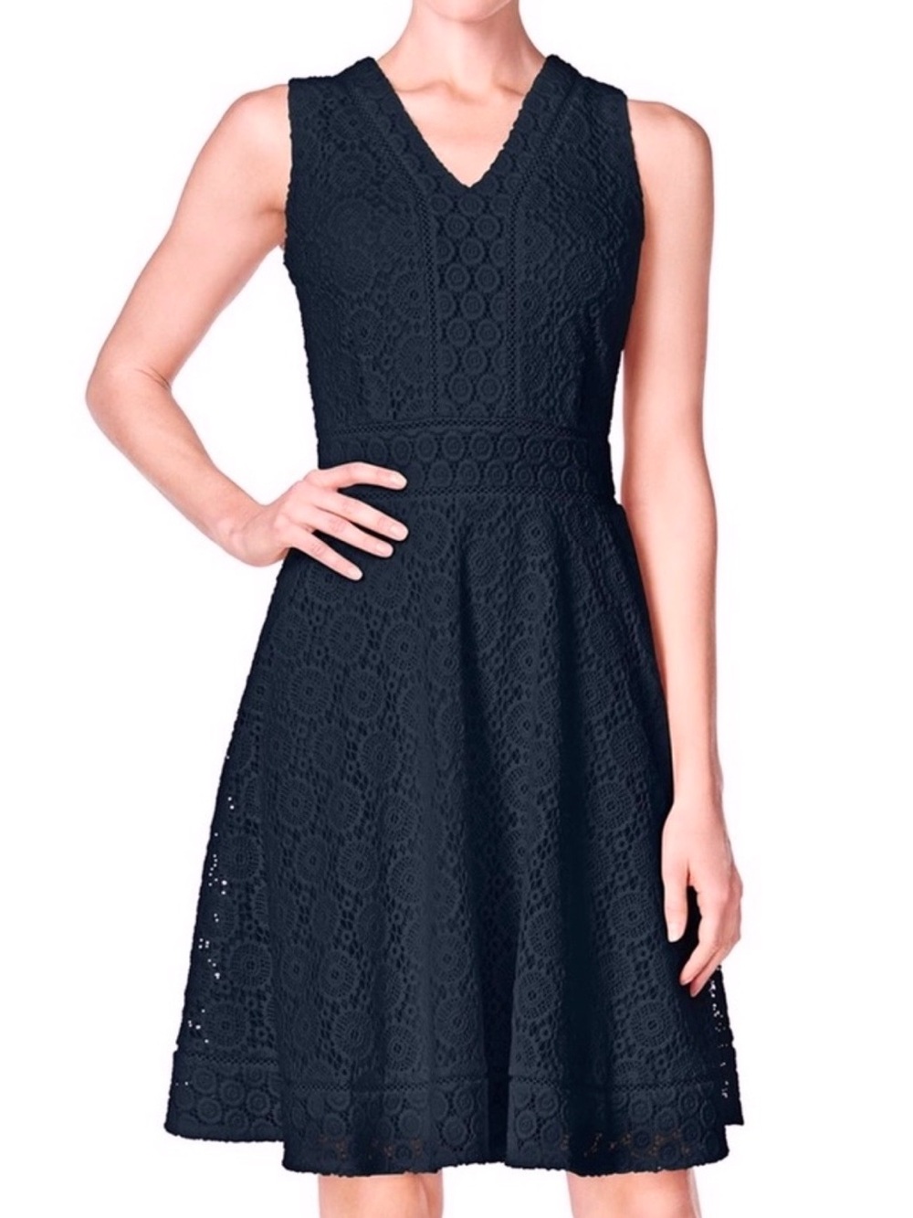 Petite navy lace v-neck fit and flare dress